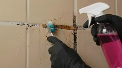 Jak pozbyć się pleśni ze spoin między płytkami i przywrócić im pierwotny wygląd