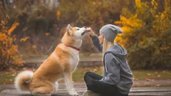 Wierne do końca życia: 5 ras psów wyjątkowo przywiązanych do ludzi